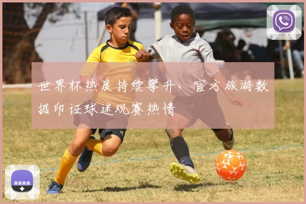 世界杯热度持续攀升，官方旅游数据印证球迷观赛热情