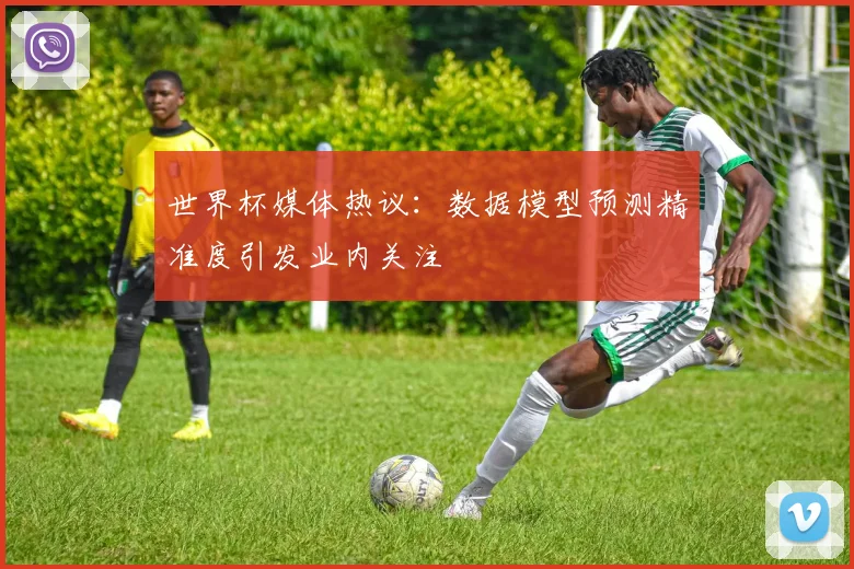 世界杯媒体热议：数据模型预测精准度引发业内关注